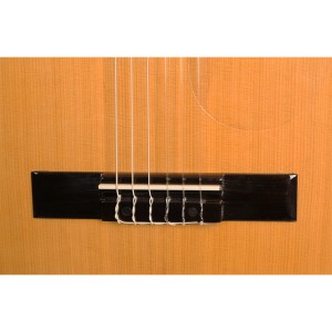 ALVERA ACG300 4/4 - gitara klasyczna + pokrowiec