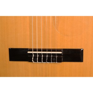 ALVERA ACG300 4/4 - gitara klasyczna + podnóżek