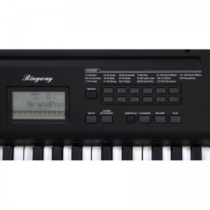 Ringway TB100 BK - keyboard do nauki z dynamiczną klawiaturą