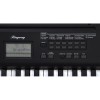 Ringway TB100 BK - keyboard do nauki z dynamiczną klawiaturą