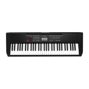 Ringway TB100 BK - keyboard + statyw