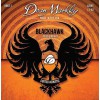 DEAN MARKLEY BLACKHAWK COATED ACOUSTIC 8011 LT .011-.052 - Struny do gitary akustycznej