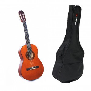 Alvera ACG100 4/4 (N) - gitara klasyczna + pokrowiec