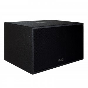 Synq I-SUB 210 - podwójny subwoofer pasywny 500W RMS