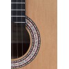 Prodipe Guitars Primera 7/8 - gitara klasyczna