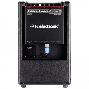 TC Electronic BG250-208 Combo basowe 2x8"