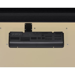 CASIO GP-310 - pianino hybrydowe
