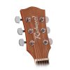 Richwood RD-12 - Gitara Akustyczna