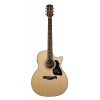 Richwood G-40-CE - Gitara Elektroakustyczna