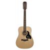 Richwood D-4012 - Gitara Akustyczna 12-strunowa