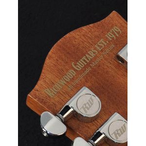 Richwood D-4012 - Gitara Akustyczna 12-strunowa