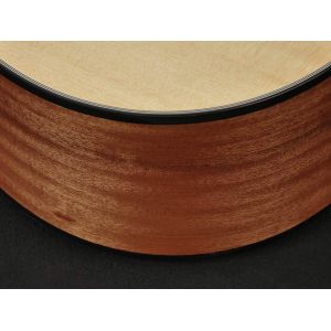 Richwood D-4012-CE - Gitara Elektroakustyczna 12-strunowa
