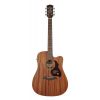Richwood D-50-CE - Gitara Elektroakustyczna
