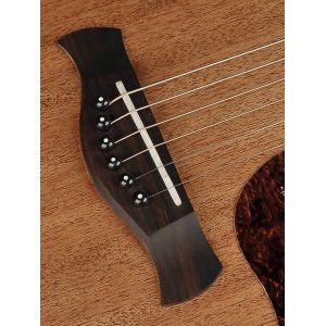 Richwood A-50 - Gitara Akustyczna