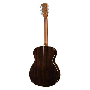 Richwood A-65-VA - Gitara Akustyczna