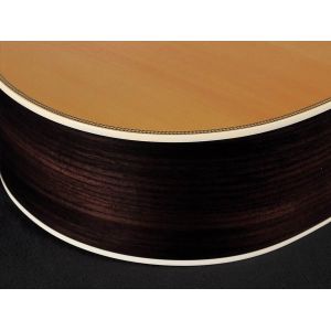 Richwood A-65-VA - Gitara Akustyczna