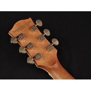 Richwood A-70-VA - Gitara Akustyczna