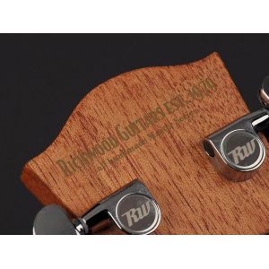 Richwood T-20 - Gitara Akustyczna