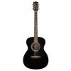 Richwood A-40-BK - Gitara Akustyczna