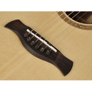 Richwood SWG-130-CE - Gitara Elektroakustyczna