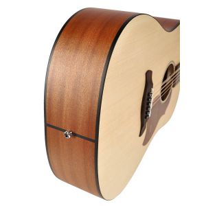 Richwood D-2012 - Gitara Akustyczna 12-strunowa