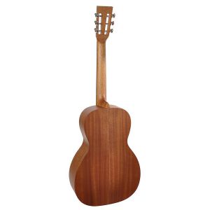 Richwood P-50 - Gitara Akustyczna