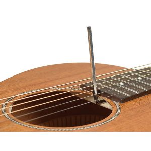 Richwood P-50 - Gitara Akustyczna