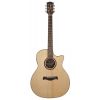Richwood SWG-150W-CE - Gitara Elektroakustyczna