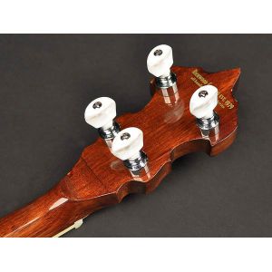 Richwood RMB-405 - Banjo 5 - strunowe