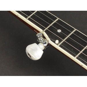 Richwood RMB-405 - Banjo 5 - strunowe