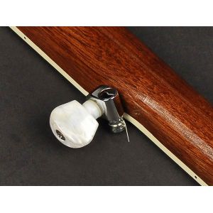 Richwood RMB-405 - Banjo 5 - strunowe