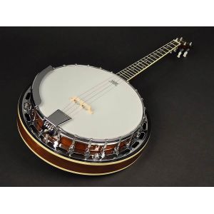 Richwood RMB-604 - Banjo 4 - strunowe