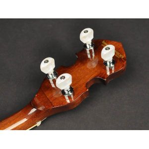 Richwood RMB-604 - Banjo 4 - strunowe