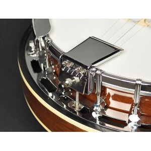 Richwood RMB-604 - Banjo 4 - strunowe