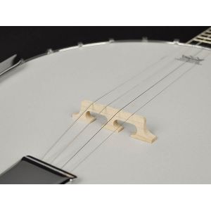 Richwood RMB-604 - Banjo 4 - strunowe