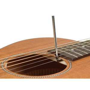 Richwood P-50-E - Gitara Elektroakustyczna