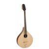 Richwood RIMA-40 - Mandola