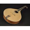 Richwood RIMA-40 - Mandola