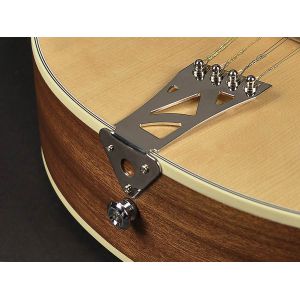 Richwood RIMA-40 - Mandola