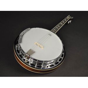 Richwood RMB-904-SS - Banjo 4 strunowe