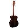 Richwood A-7012-VA - Gitara Akustyczna 12-strunowa