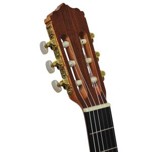 EVER PLAY SEGOVIA CG-80C - gitara klasyczna 4/4