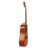 Ars Nova An-450 Mahogany - gitara akustyczna