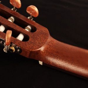 Cort AC100 DX OP - gitara klasyczna