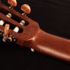 Cort AC100 DX OP - gitara klasyczna