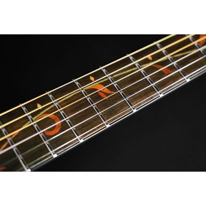 Ibanez AE295-LGS - gitara elektro-akustyczna