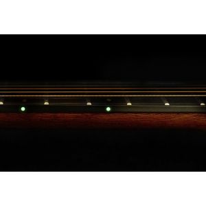 Ibanez AE325-LGS - gitara elektro-akustyczna