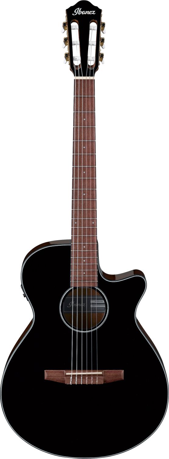 Ibanez AEG50N-BKH - gitara elektro-klasyczna