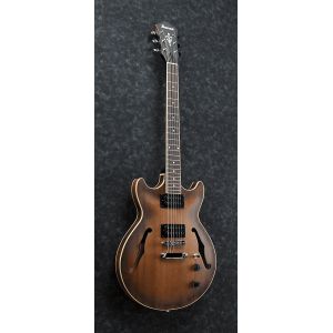 Ibanez AM53-TF - gitara elektryczna typu hollowbody