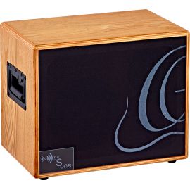 Ortega S-ONE - kolumna gitarowa 150W
